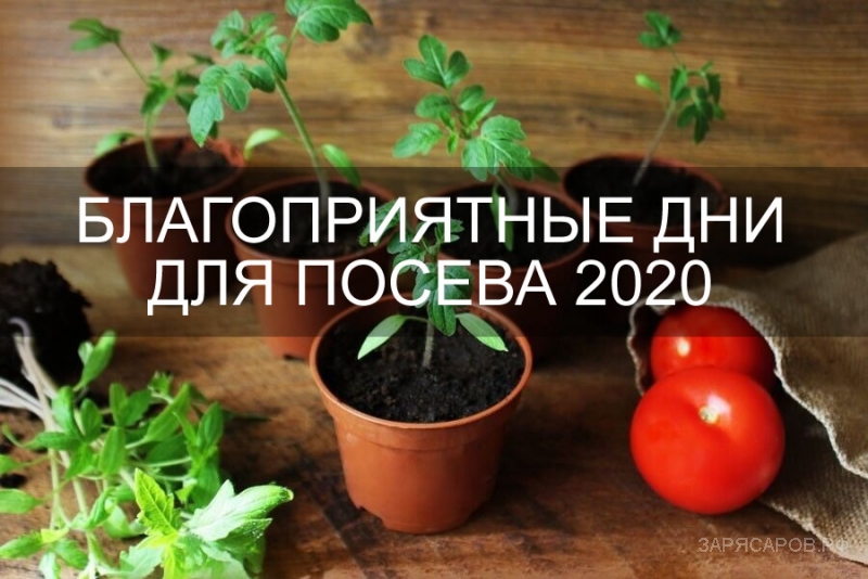 Лунный посевной календарь для садоводов и огородников на 2020