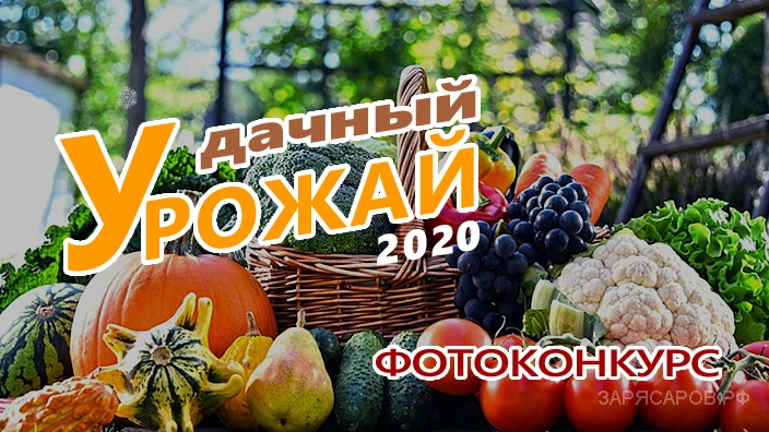 ФОТОКОНКУРС "ДАЧНЫЙ УРОЖАЙ 2020"