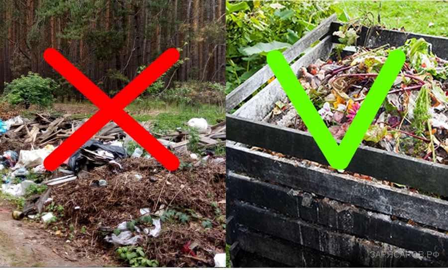 Учимся компостировать растительные отходы, а не выбрасывать